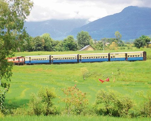 dharamshal6